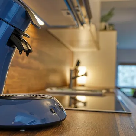 Appartement Zuarin Schlossblick - Ganzes Direkt Am Schlossgarten Von Mit Dschungel-feeling - Parkplatz Auf Anfrage Vorhanden *