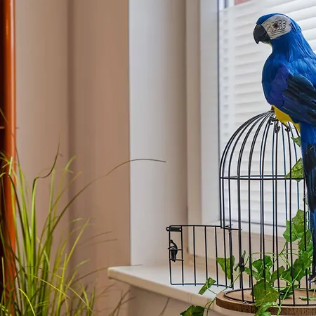 Lägenhet Zuarin Schlossblick Mit Dschungel-Feeling - Direkt Am Schlossgarten Von Schwerin - Ganzes Apartment - Parkplatz Vorhanden *